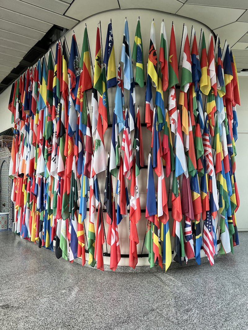 Erasmus UN Flags.jpg